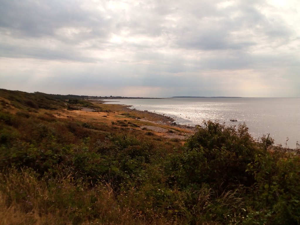 IMG_20190719_164959.jpg