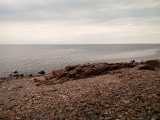 IMG_20190719_185757.jpg