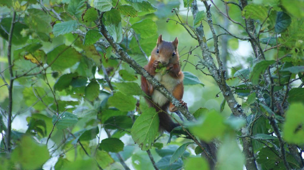 DSC01008.jpg