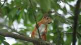 DSC00956.jpg