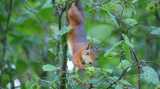 DSC01003.jpg