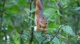 DSC01004.jpg