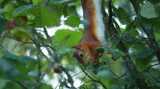 DSC01005.jpg