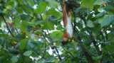 DSC01006.jpg