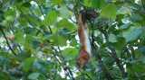 DSC01007.jpg