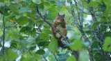 DSC01008.jpg