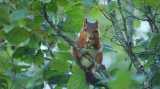 DSC01009.jpg