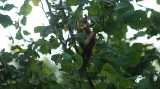 DSC01012.jpg