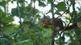 DSC01034.jpg