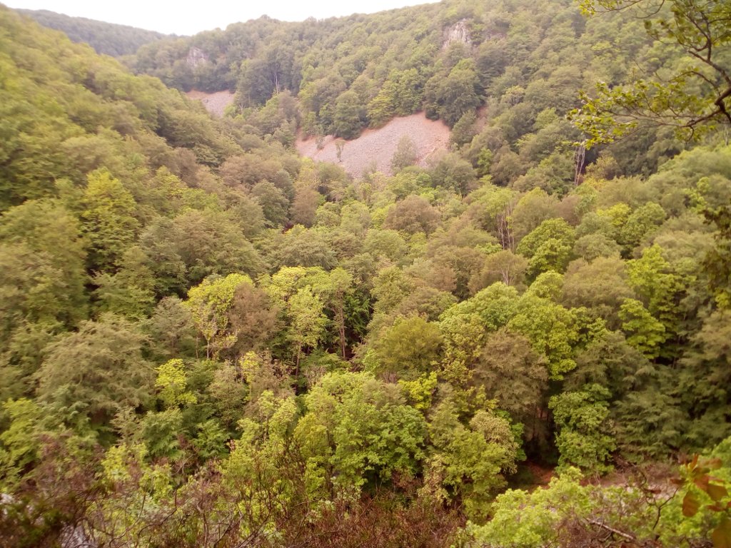 IMG_2019.jpg