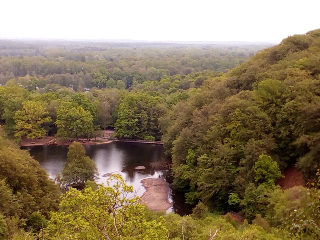 IMG_20190601_105520.jpg