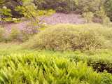 IMG_20190601_072500.jpg
