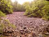 IMG_20190601_073123.jpg