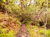 IMG_20190601_073139.jpg