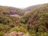 IMG_20190601_095327.jpg