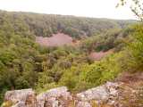 IMG_20190601_095337.jpg