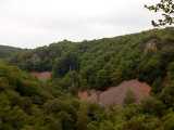 IMG_20190601_104423.jpg