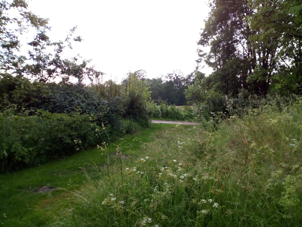 IMG_20190615_171958.jpg