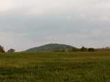 IMG_20190601_141859.jpg