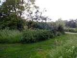 IMG_20190615_172022.jpg