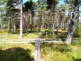 IMG_20190716_101427.jpg